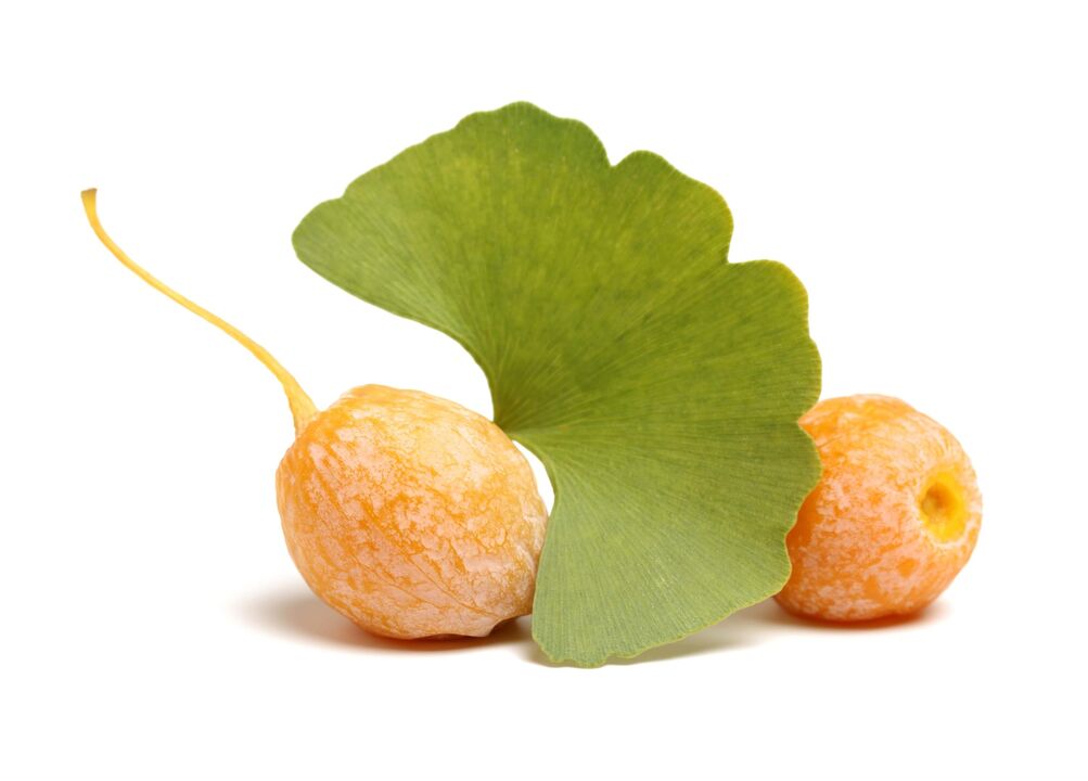 Ginkgo biloba sa Erectil