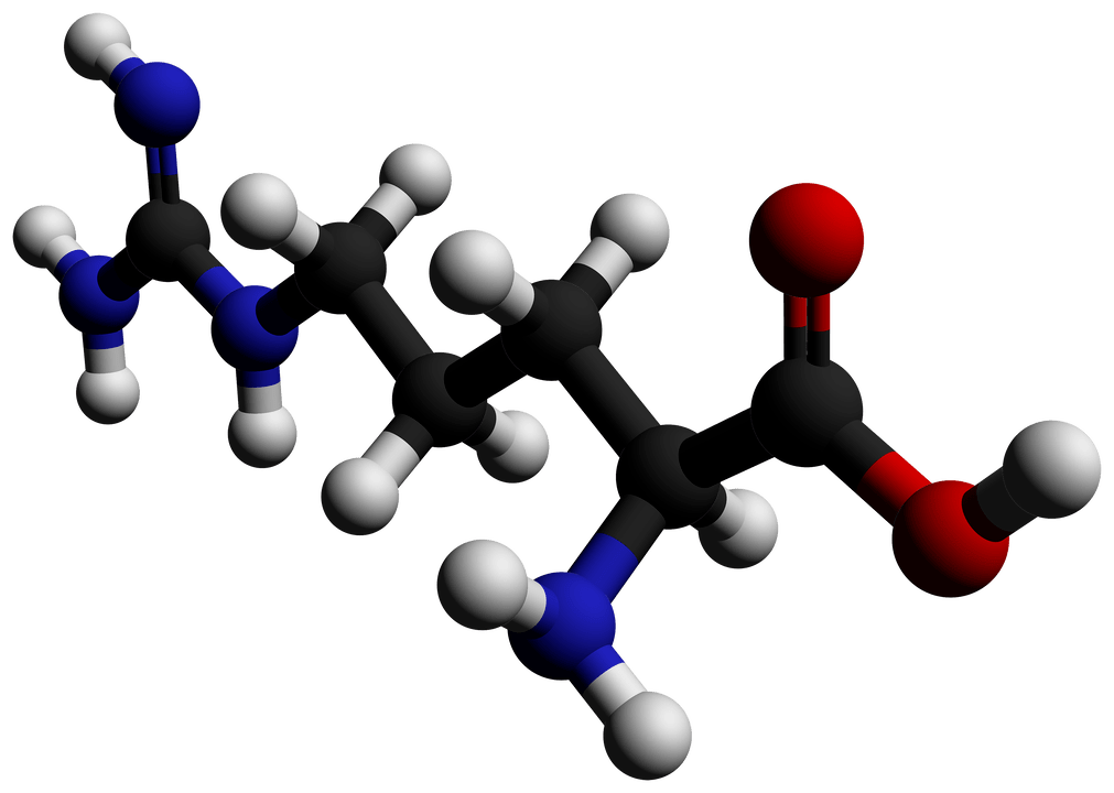 arginine sa Erectil